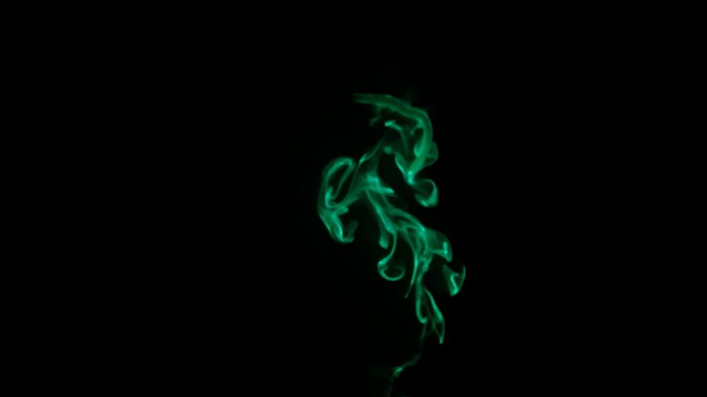 Glow worm